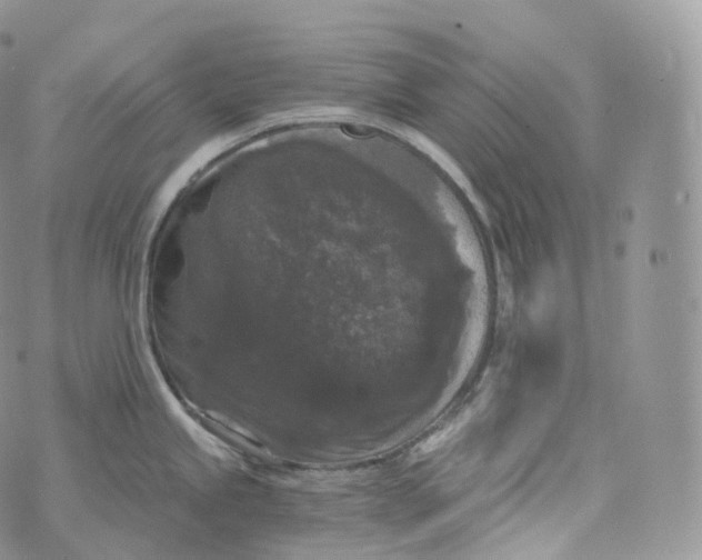 X0000072961245200608111643