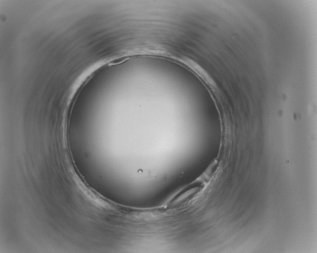 X0000072961246200608111643