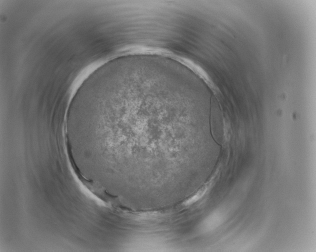 X0000072961247200608111643