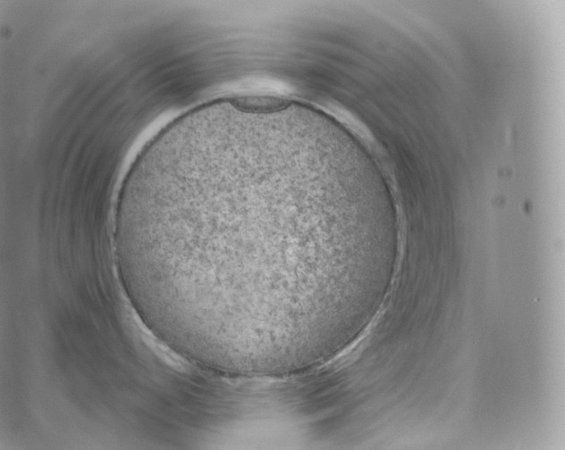 X0000072961248200608111643