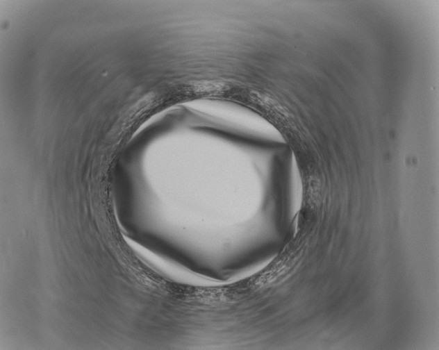 X0000072961249200608111642