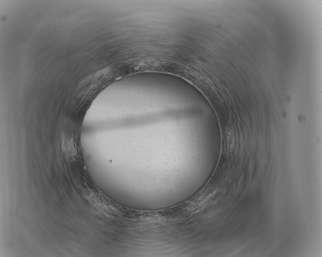 X0000072961250200608111642