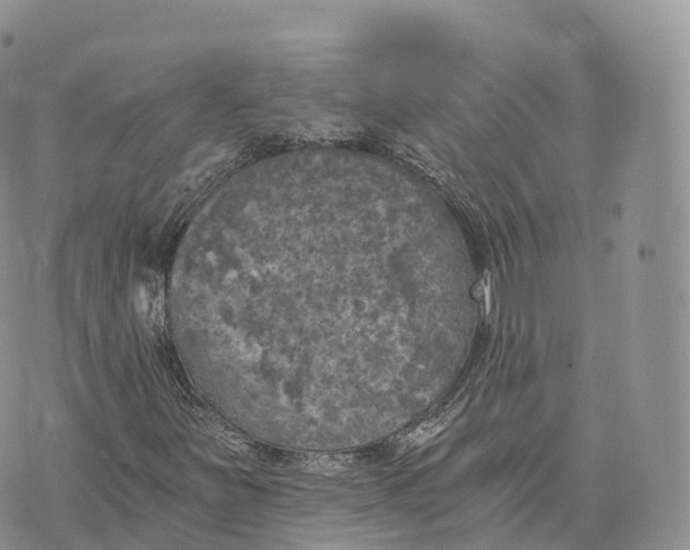 X0000072961251200608111642