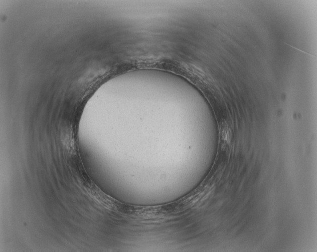 X0000072961252200608111642