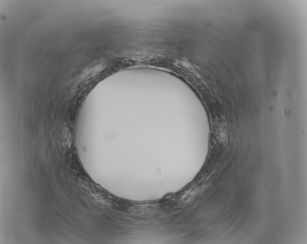 X0000072961253200608111642