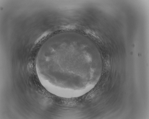 X0000072961254200608111642