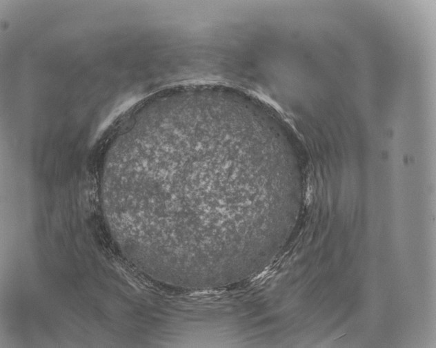 X0000072961255200608111642