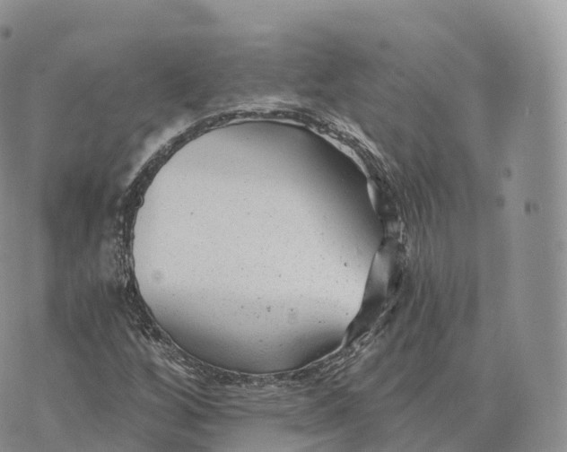 X0000072961256200608111642