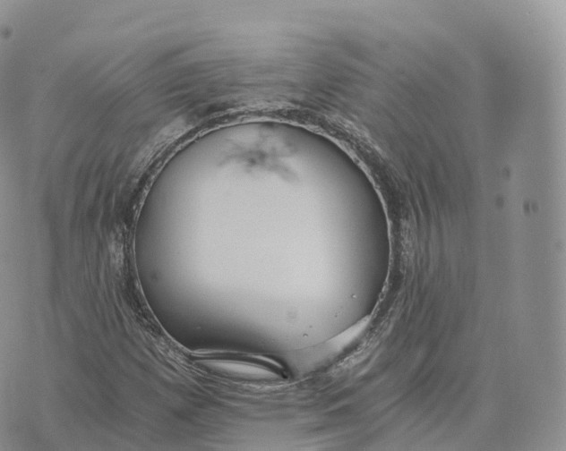 X0000072961257200608111642