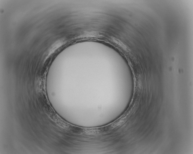 X0000072961258200608111642