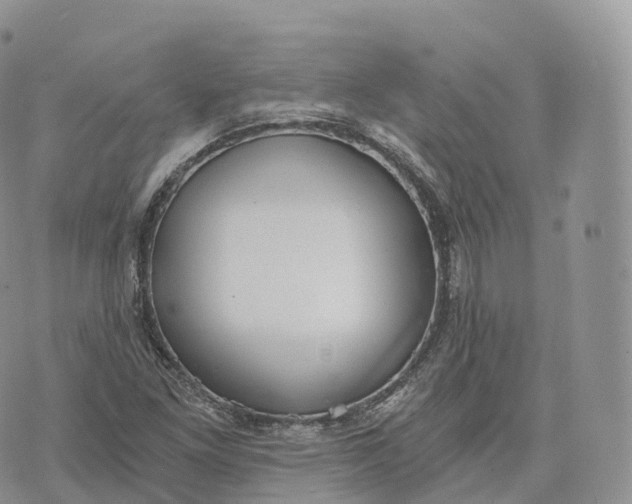 X0000072961261200608111642