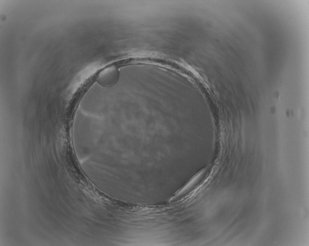 X0000072961263200608111642