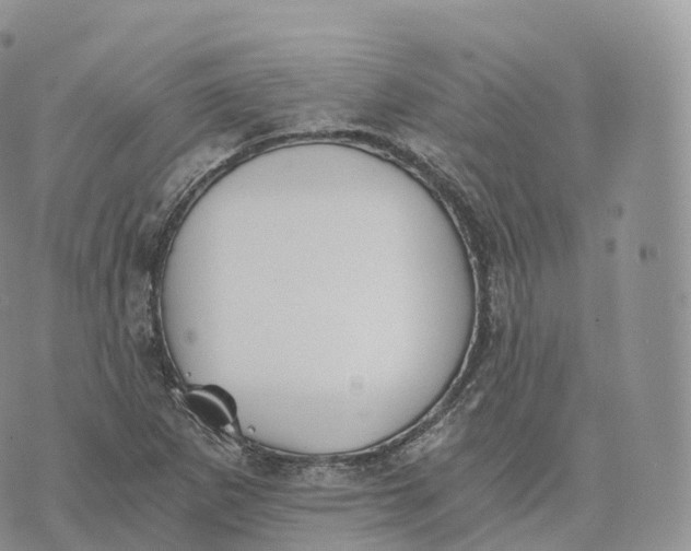 X0000072961265200608111642