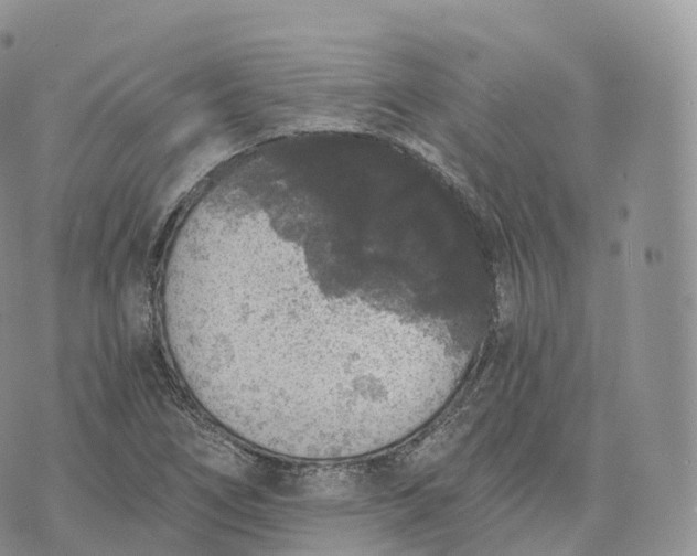 X0000072961266200608111642