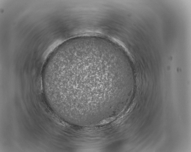 X0000072961267200608111642