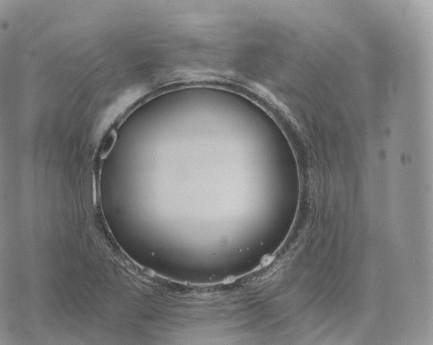 X0000072961269200608111642