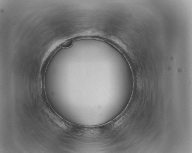 X0000072961270200608111642