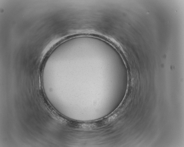 X0000072961271200608111642