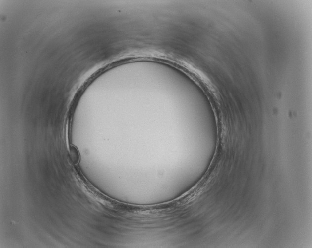 X0000072961272200608111642