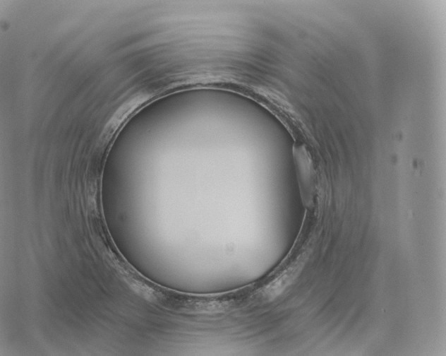 X0000072961273200608111642