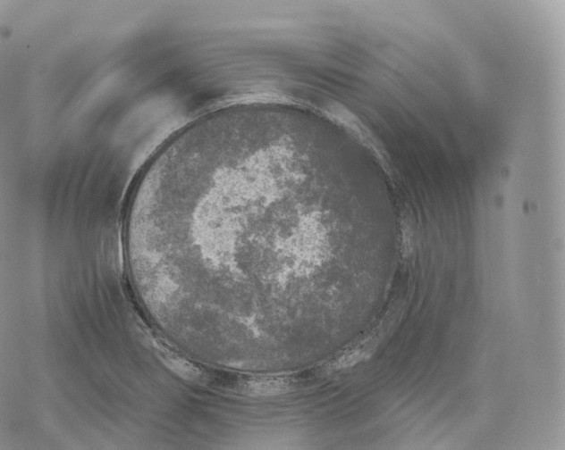 X0000072961274200608111642