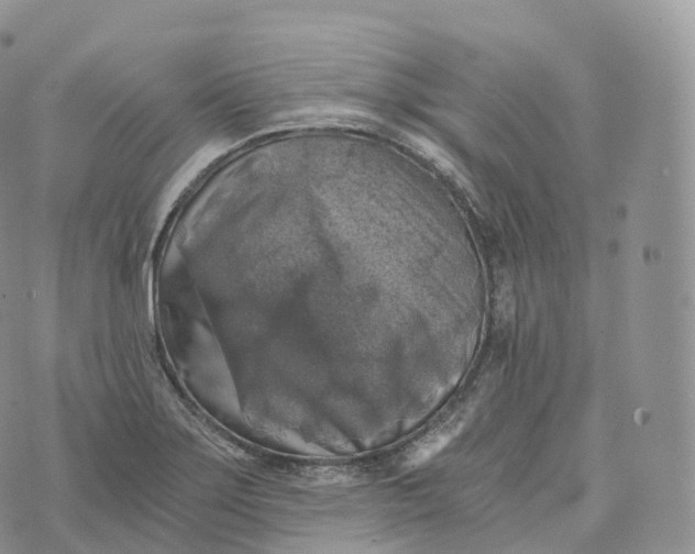 X0000072961275200608111642