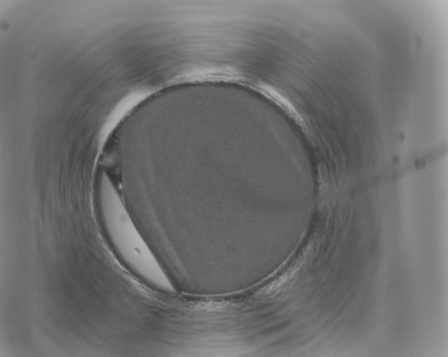 X0000072961277200608111642