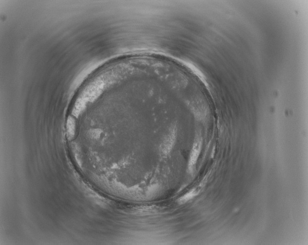 X0000072961279200608111642