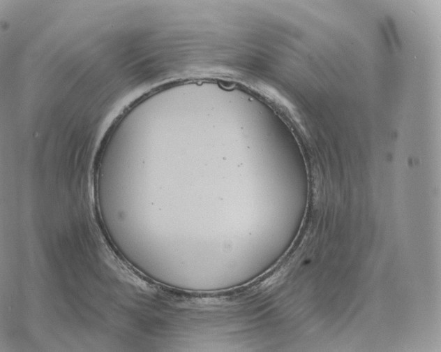 X0000072961280200608111642