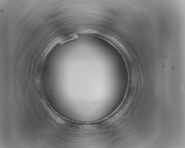 X0000072961281200608111642