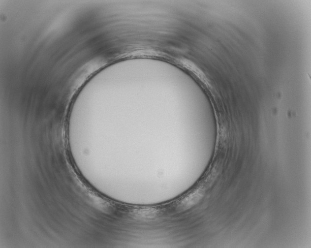 X0000072961282200608111642