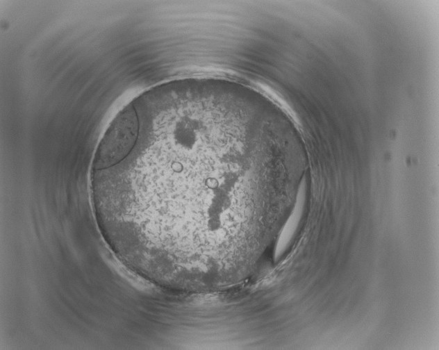 X0000072961283200608111642