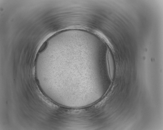 X0000072961284200608111641