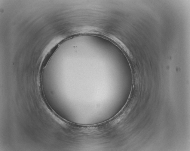 X0000072961285200608111641