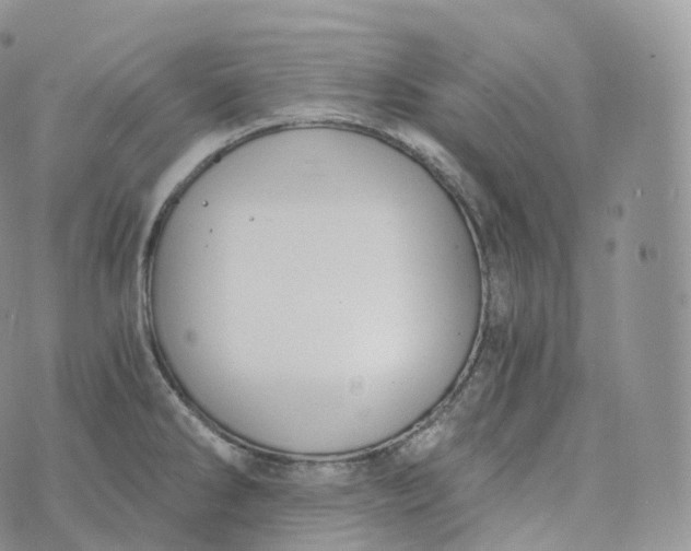 X0000072961286200608111641