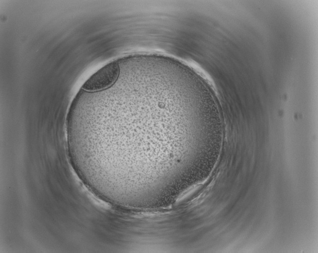 X0000072961287200608111641