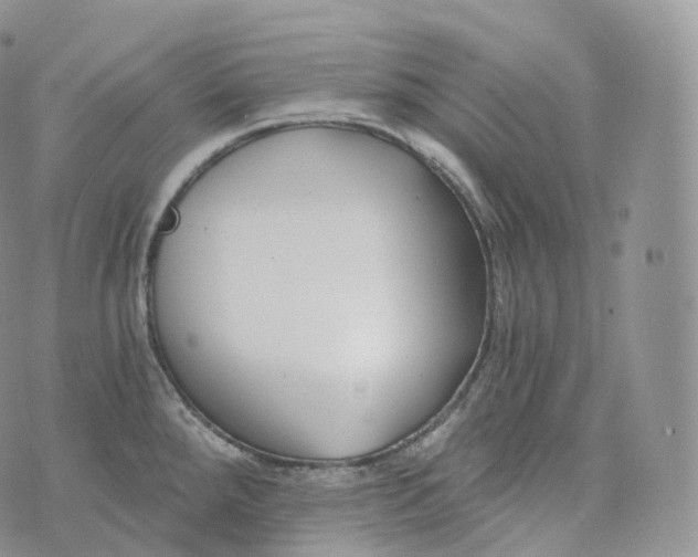 X0000072961288200608111641