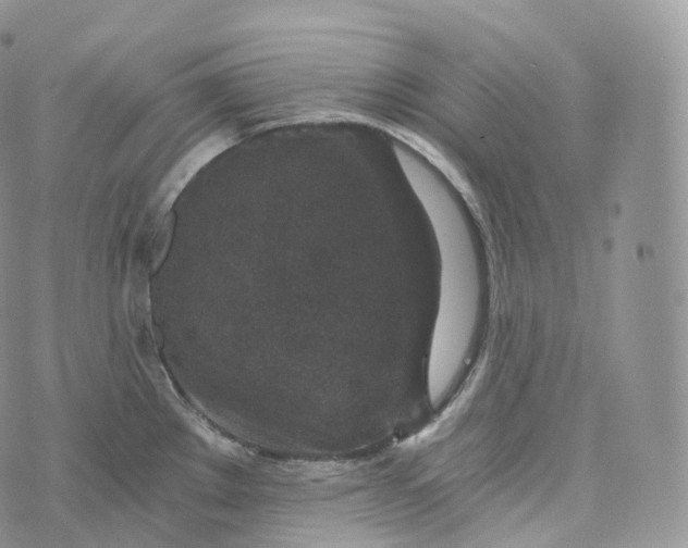 X0000072961289200608111641