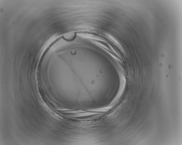 X0000072961291200608111641