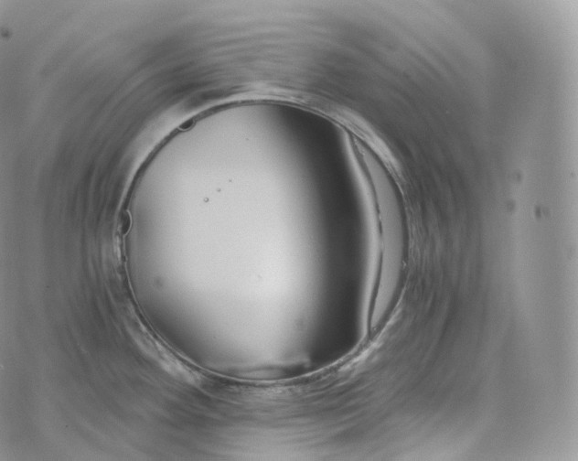 X0000072961292200608111641