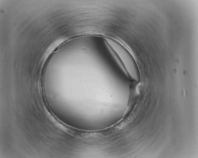 X0000072961293200608111641