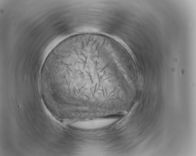 X0000072961295200608111641