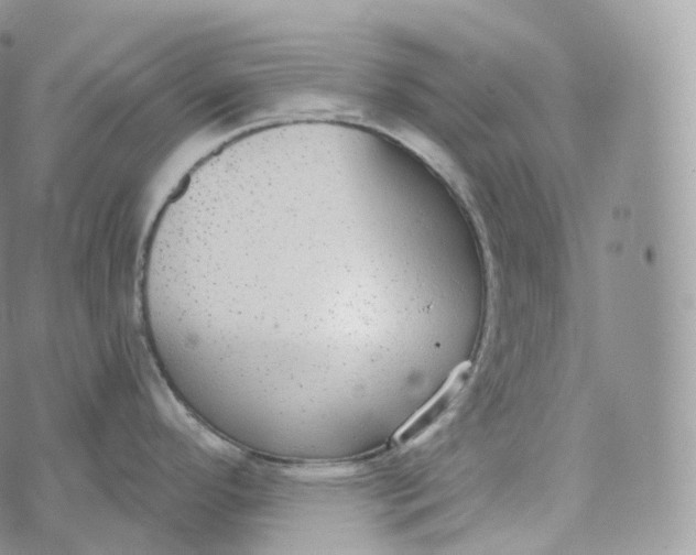 X0000072961296200608111641