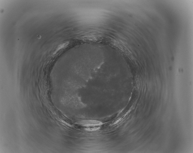 X0000072961297200608111641