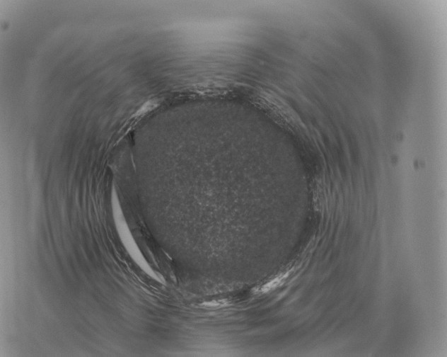 X0000072961298200608111641