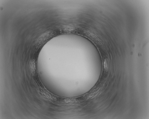 X0000072961299200608111641