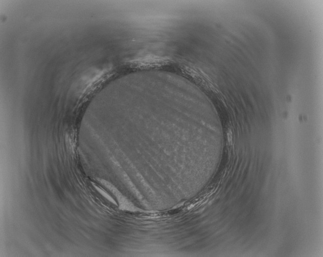 X0000072961300200608111641