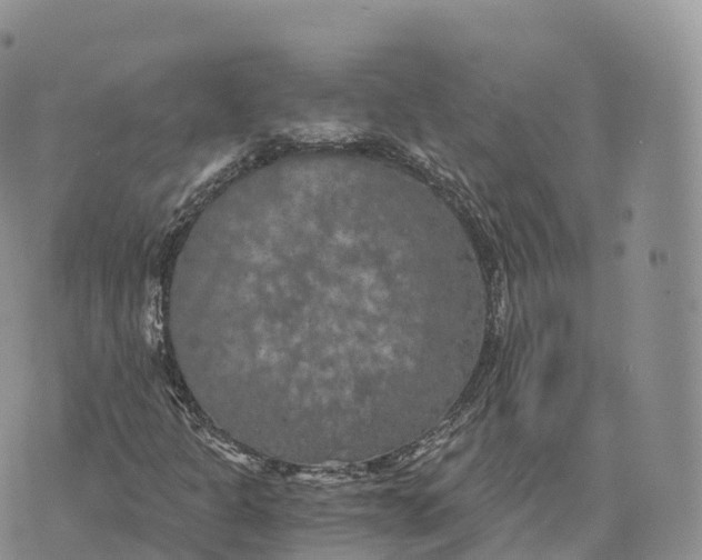 X0000072961301200608111641