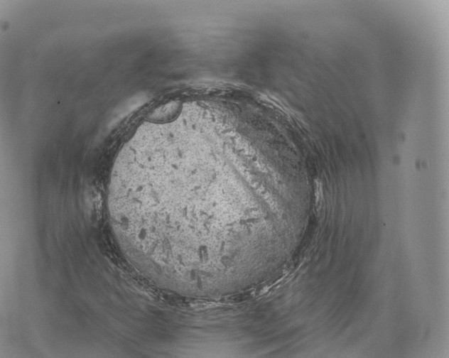 X0000072961302200608111641