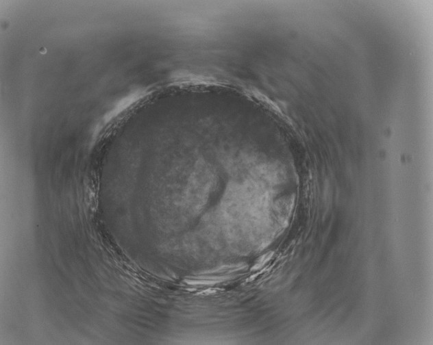 X0000072961303200608111641